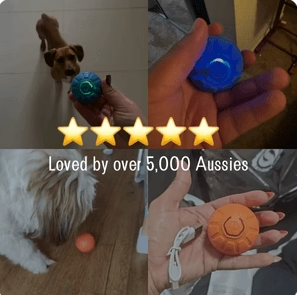 Automatic Bouncing Dog Ball