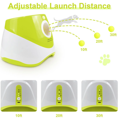 Automatic Dog Ball Launcher