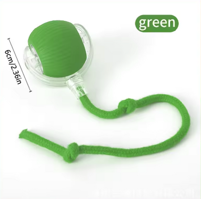 Automatic Bouncing Dog Ball