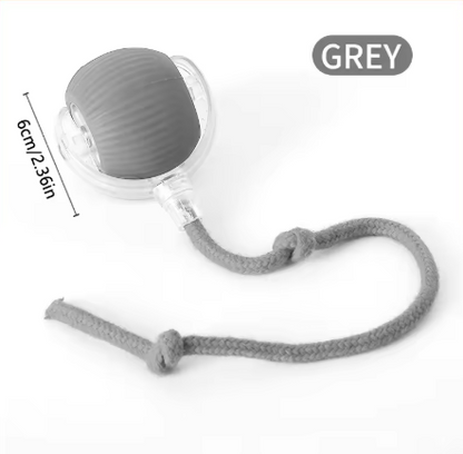 Automatic Bouncing Dog Ball