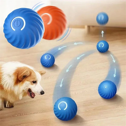 Automatic Bouncing Dog Ball
