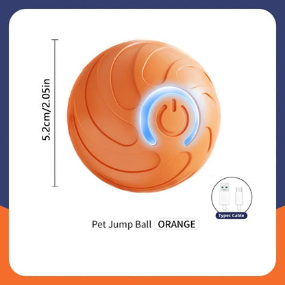 Automatic Bouncing Dog Ball
