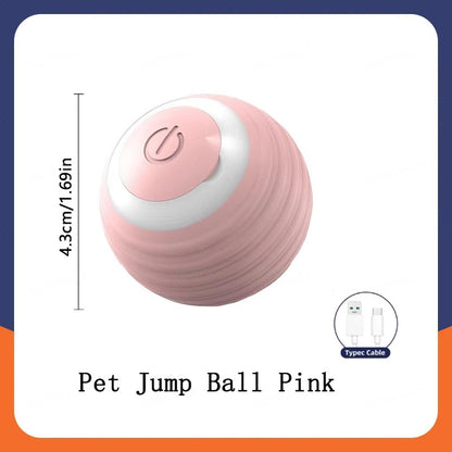 Automatic Bouncing Dog Ball